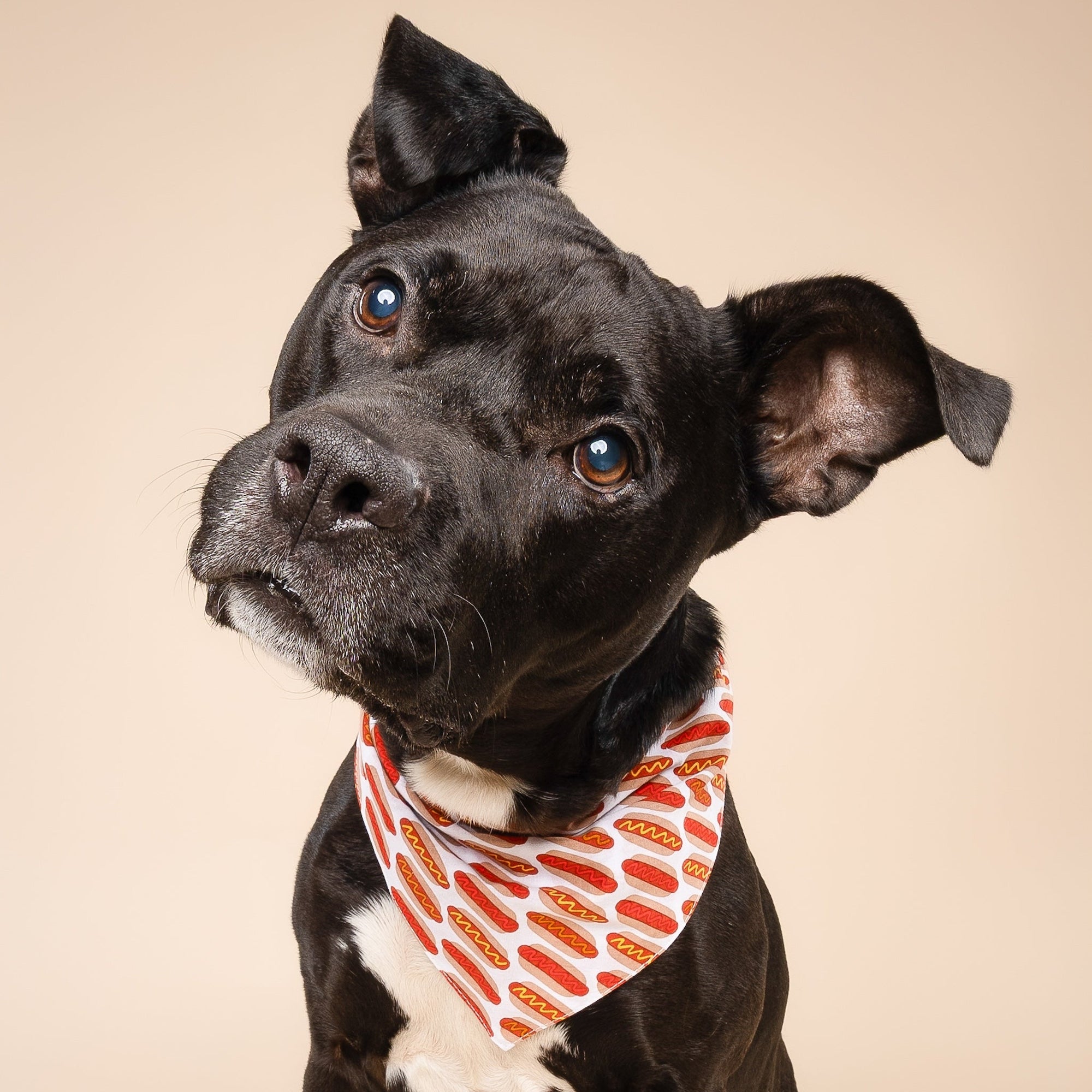 3 Pack - Patriotic Summer Dog Bandanas