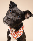 3 Pack - Patriotic Summer Dog Bandanas