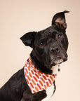 Hot Dogs Bandana
