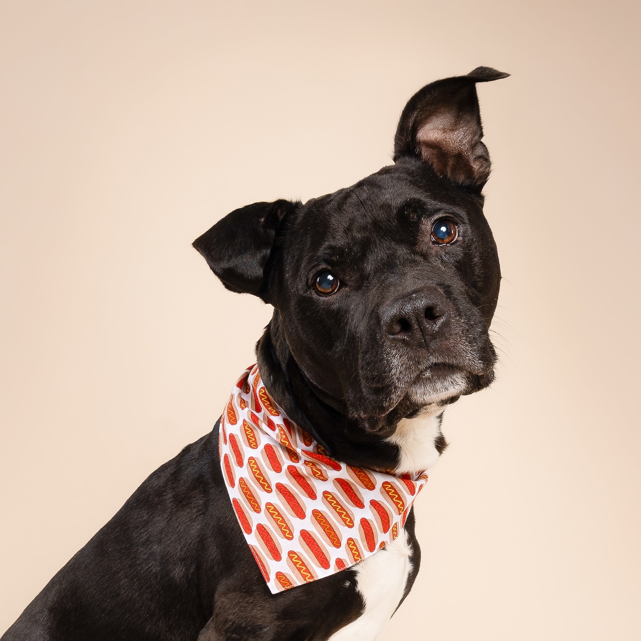 Hot Dogs Bandana