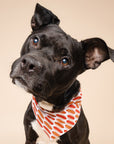 Hot Dogs Bandana