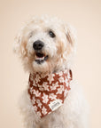 Hudson Dog Bandana