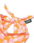 Hula Dog Bandana