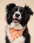 Hula Dog Bandana