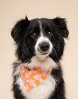 Hula Dog Bandana