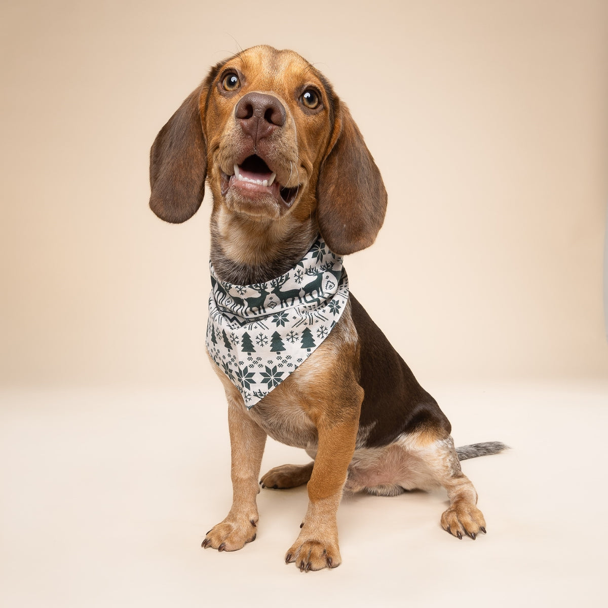 Hygge Winter Dog Bandana