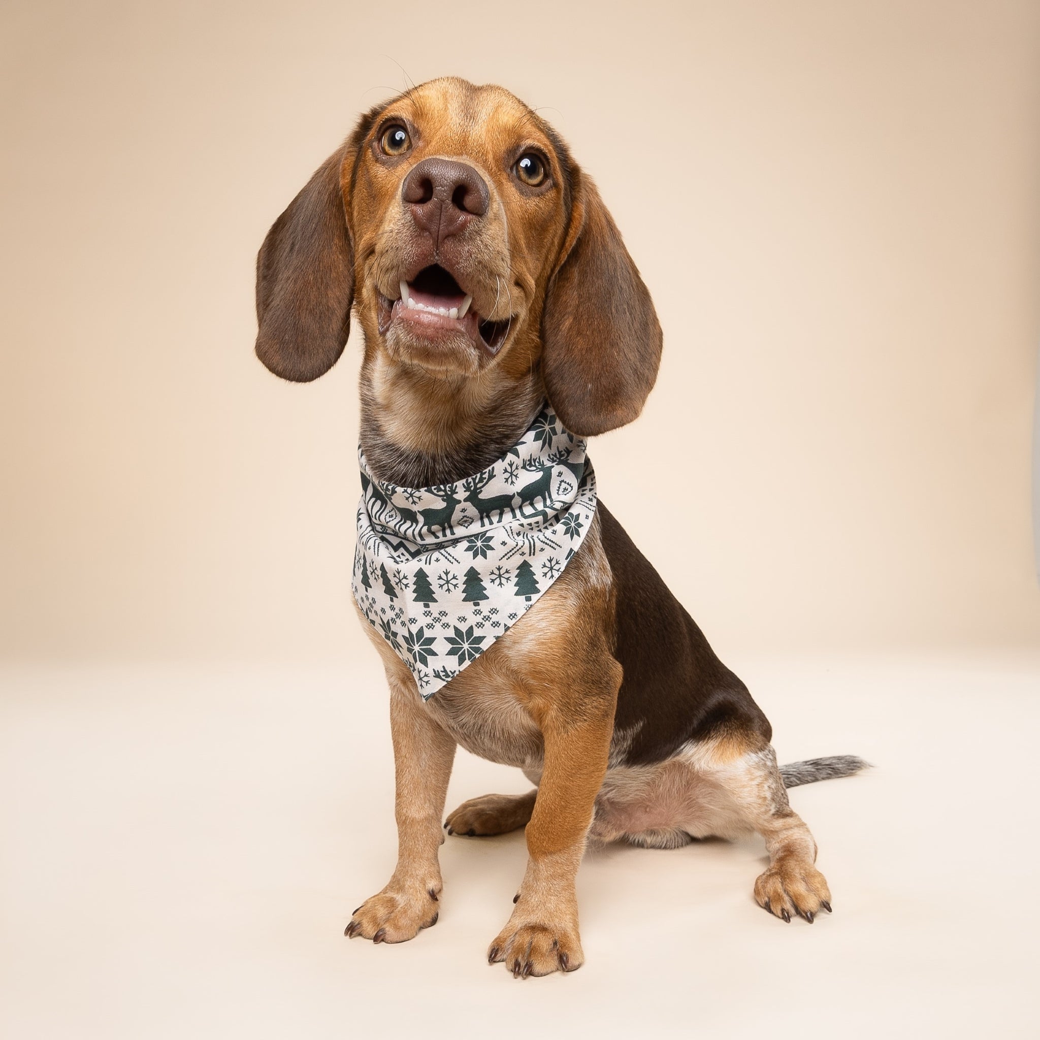 Hygge Christmas Dog Bandana