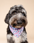 Ice Block Cooling Bandana