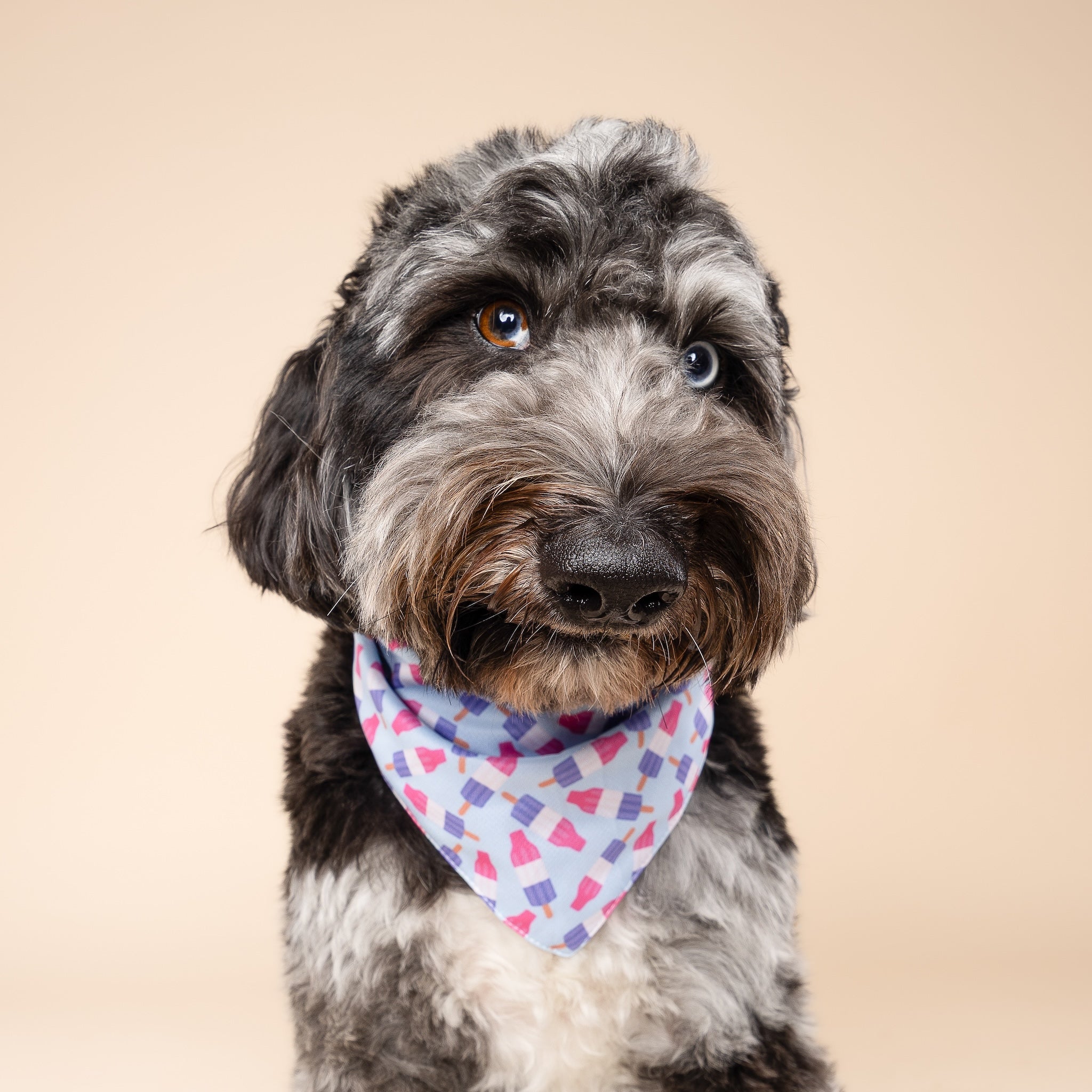 Ice Block Cooling Bandana