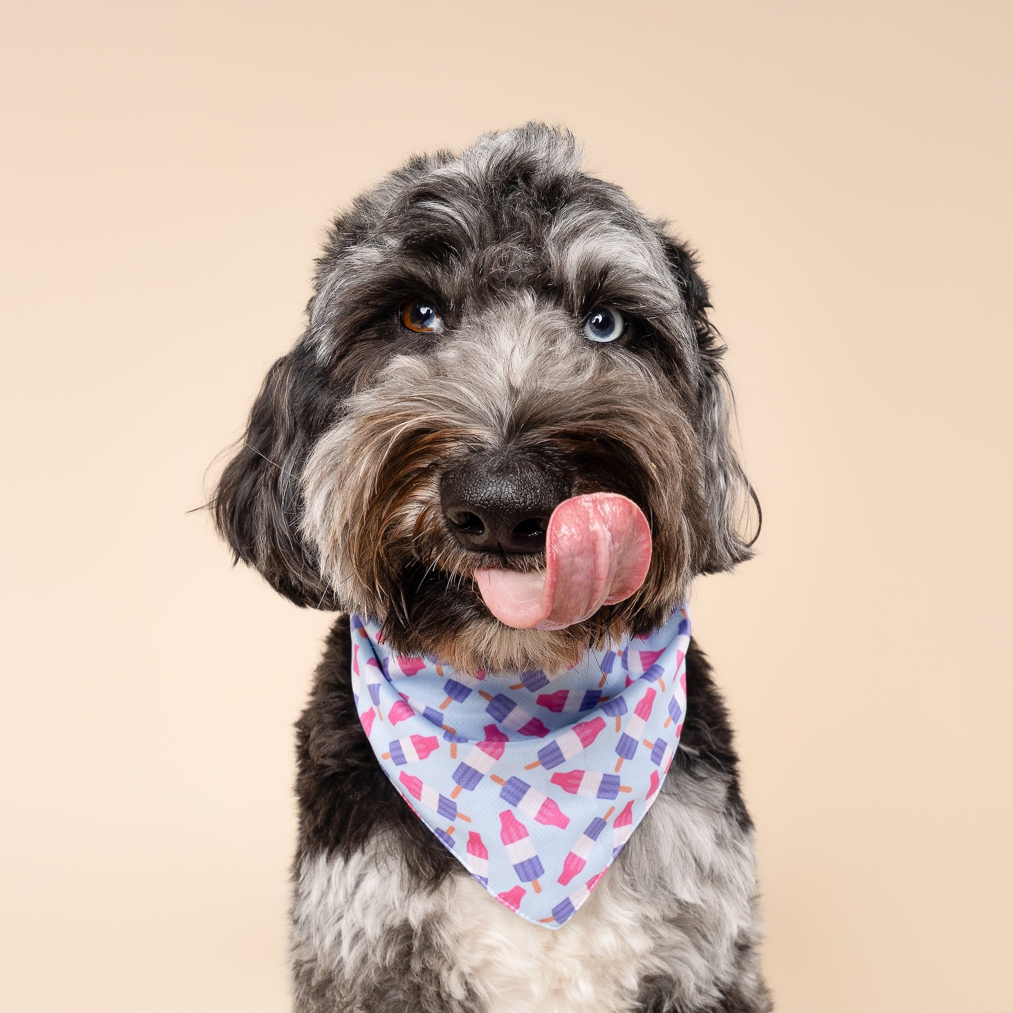 Ice Block Cooling Bandana
