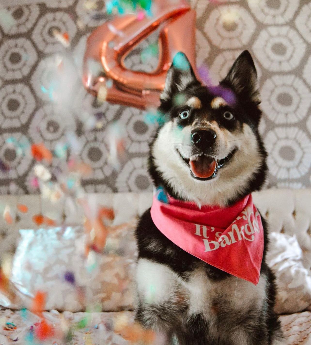 Barkday Pink Bandana