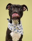 Jawz Dog Bandana