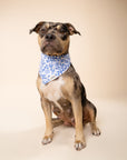 Jo Dog Bandana