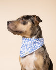 Jo Dog Bandana