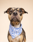 Jo Dog Bandana