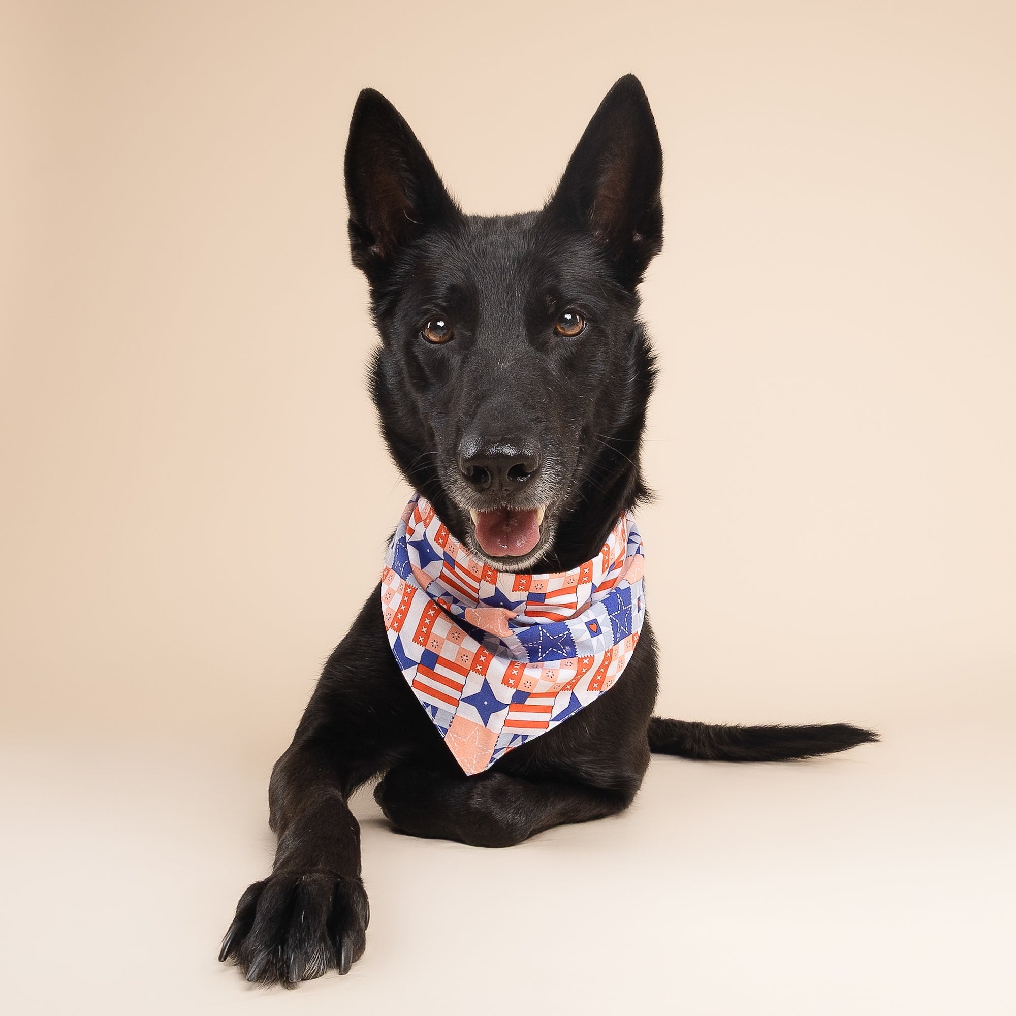 3 Pack of 4th of July Dog Bandanas