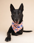 3 Pack of 4th of July Dog Bandanas