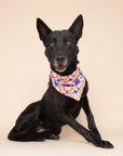 Jubilee Dog Bandana
