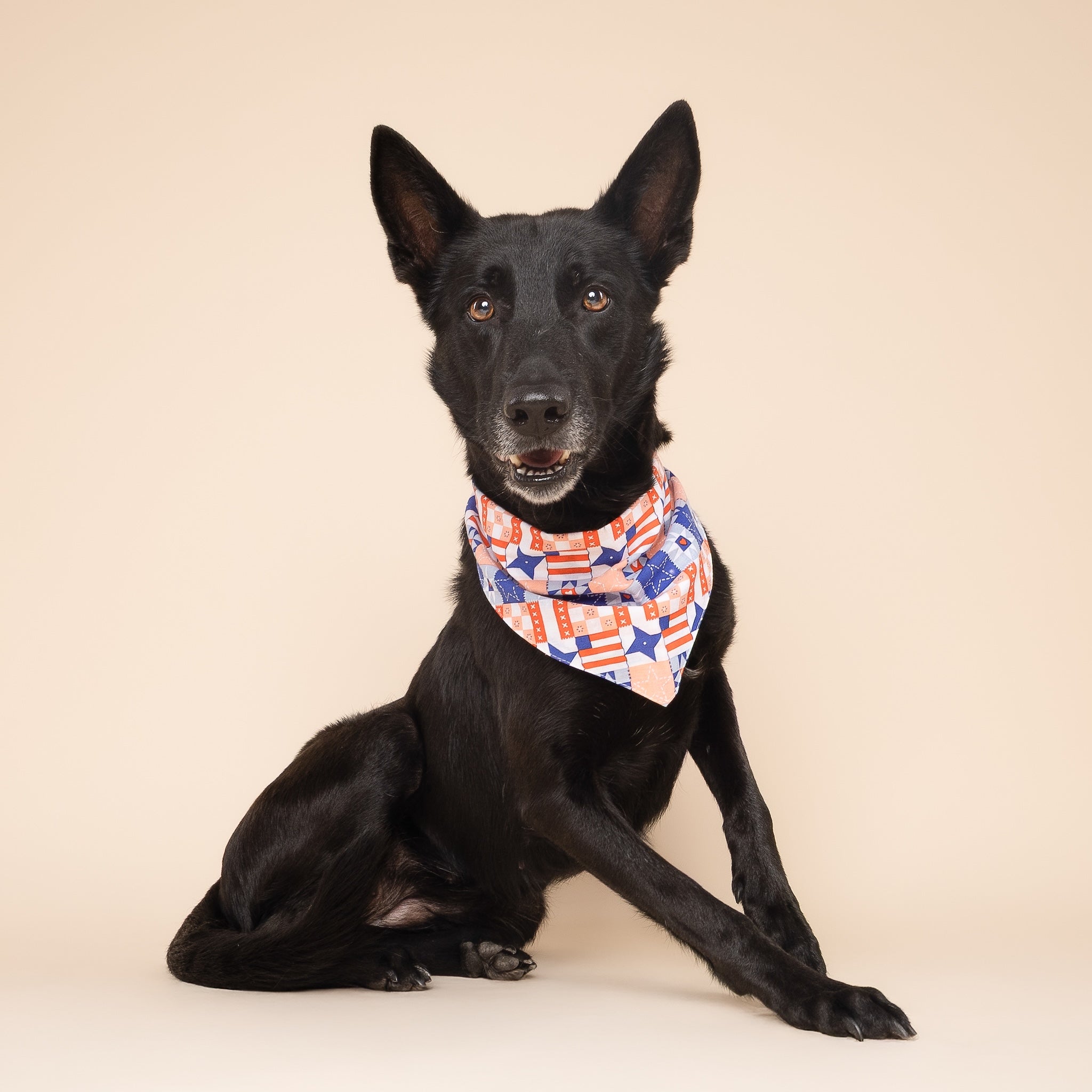 Jubilee Dog Bandana