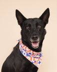 Jubilee Dog Bandana