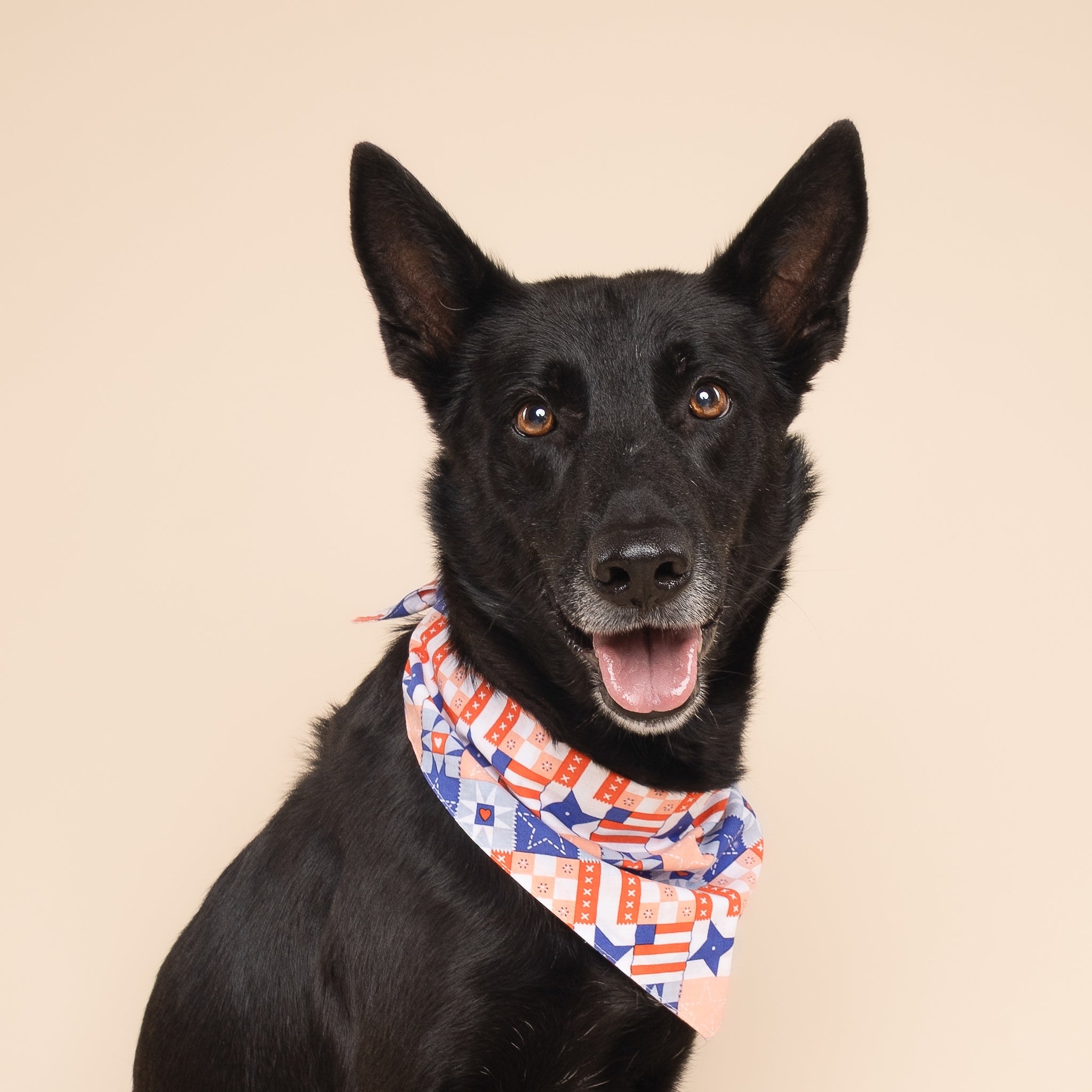 Jubilee Dog Bandana