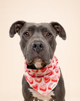 Kate Dog Bandana