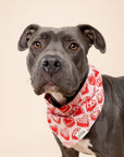 Kate Dog Bandana