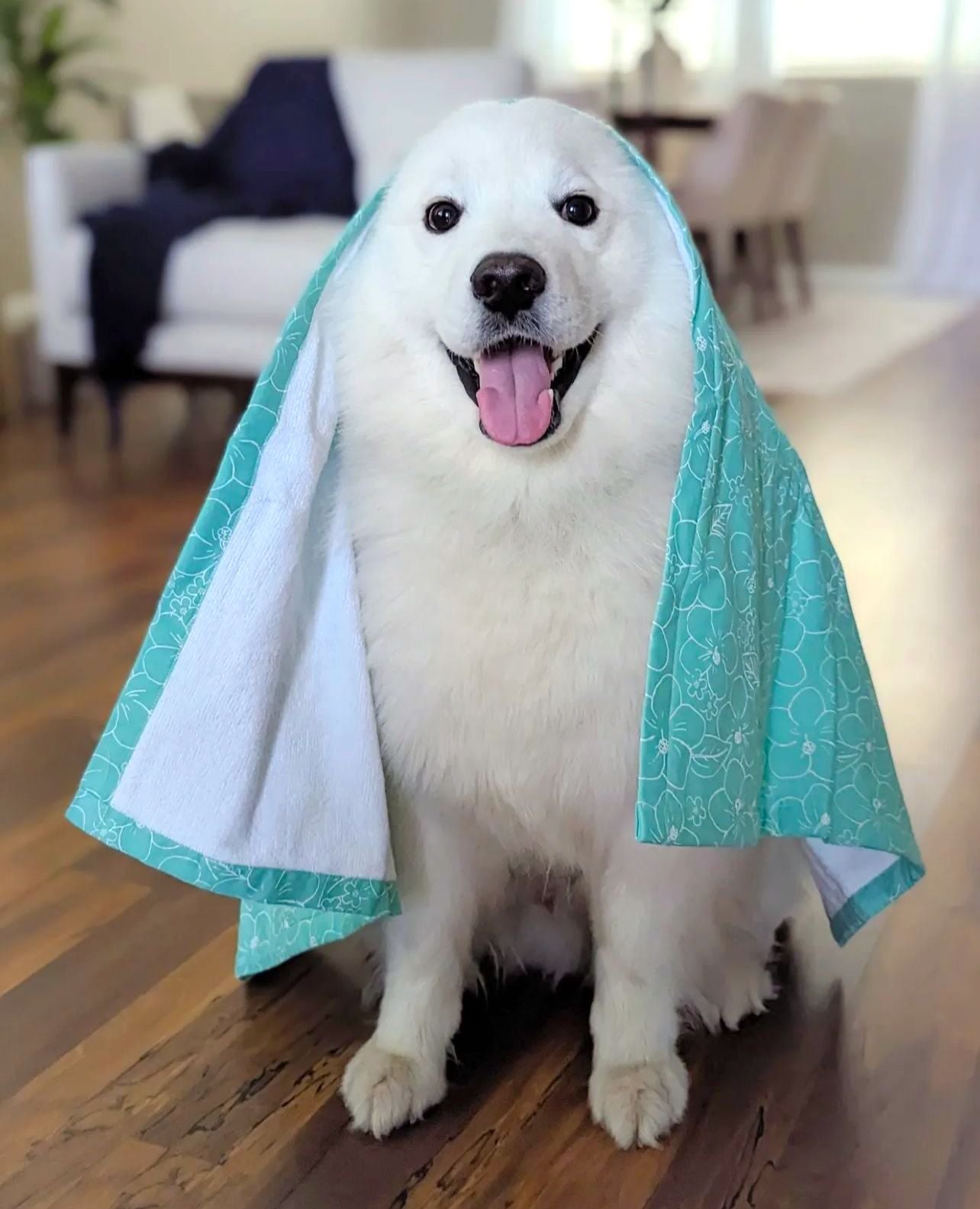 Dog Towel - Kerikeri
