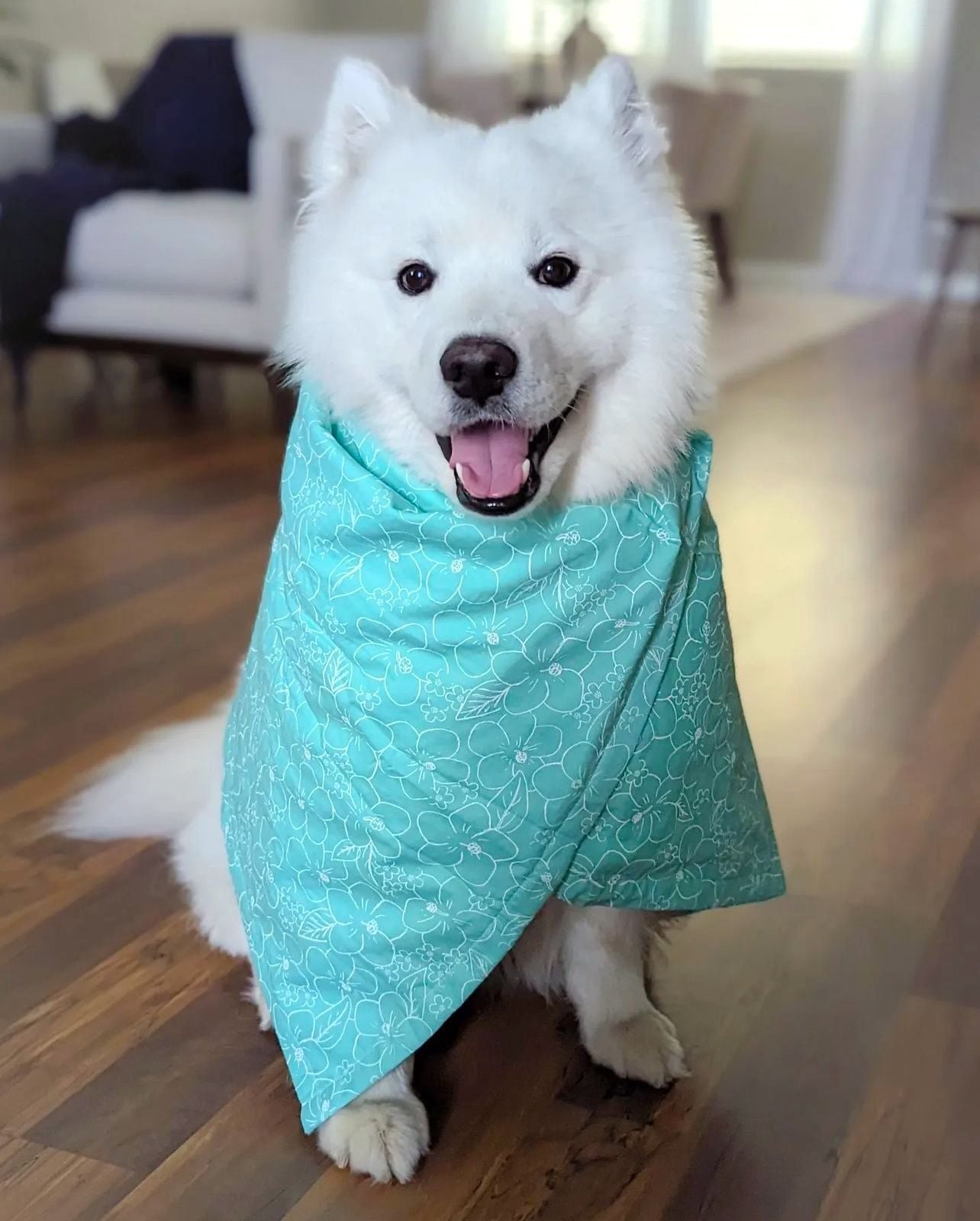 Dog Towel - Kerikeri