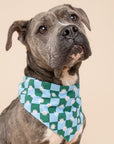 Koa Dog Bandana