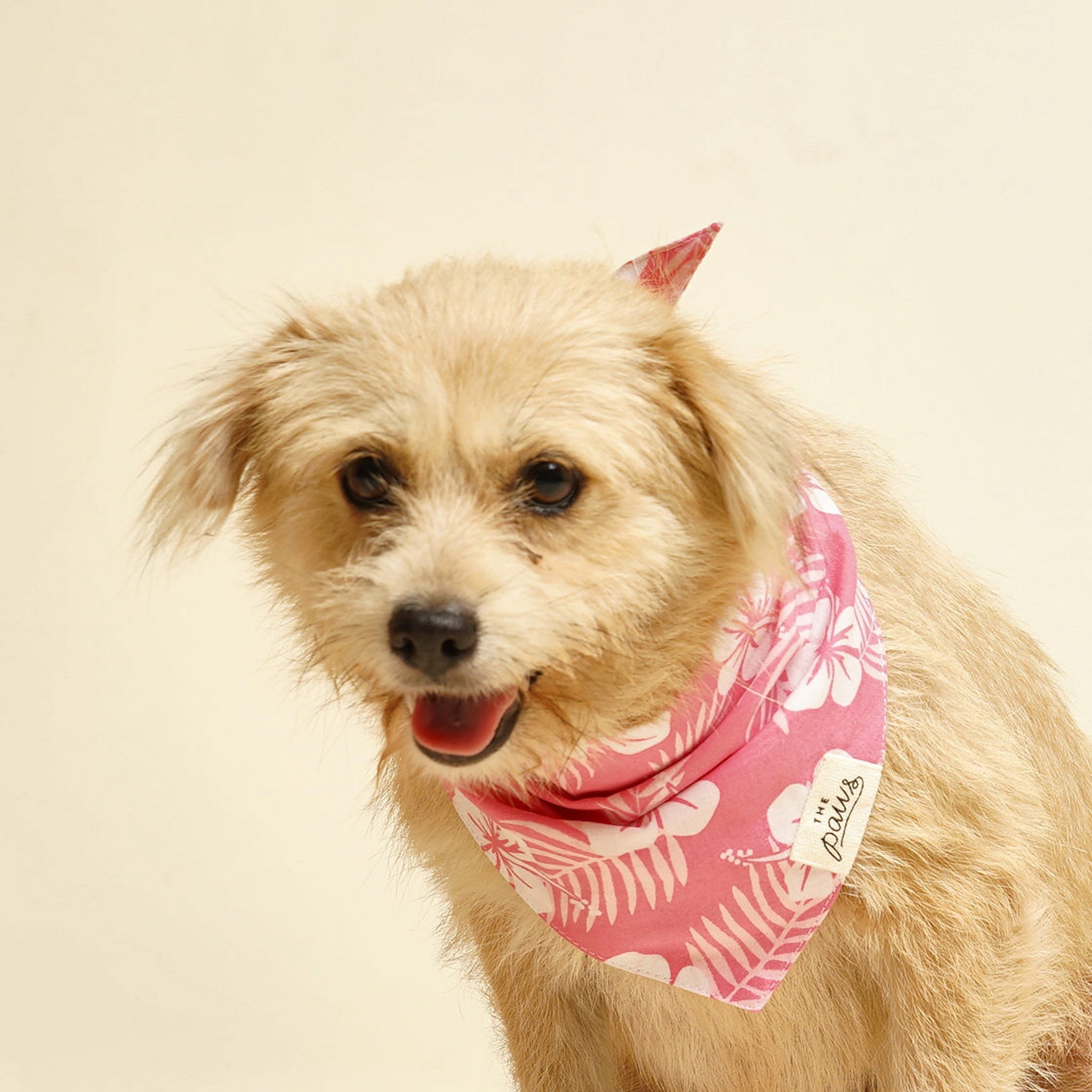 Lei dog bandana