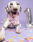 Let's Pawty Pink Dog Bandana