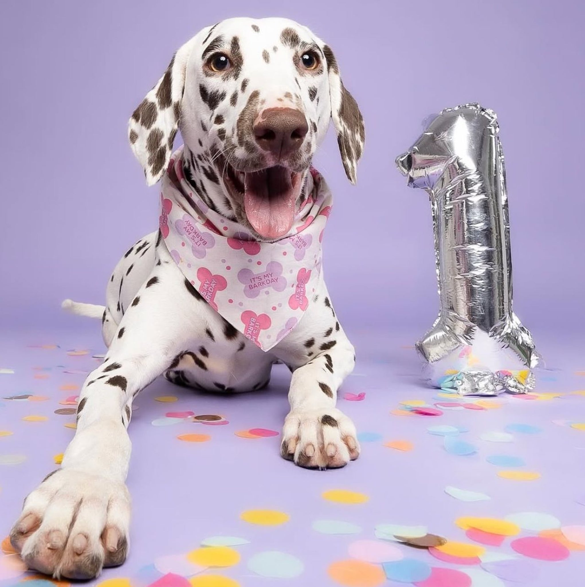 Let's Pawty Pink Dog Bandana