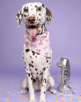 Let's Pawty Pink Dog Bandana