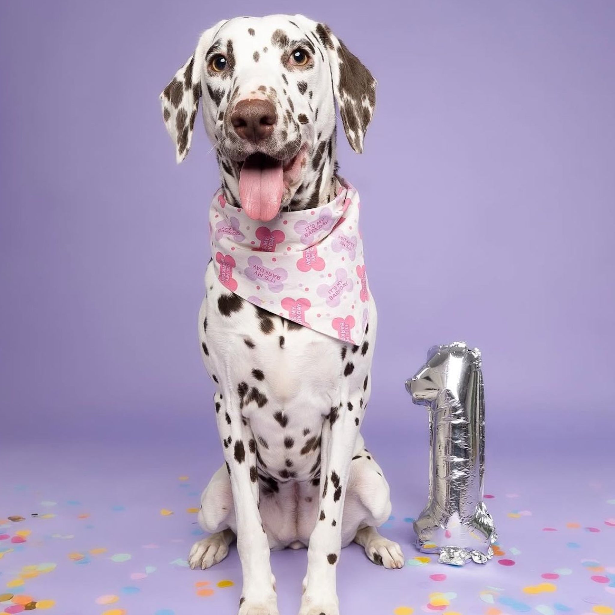Let's Pawty Pink Dog Bandana