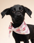Let's Pawty Pink Dog Bandana