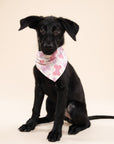 Let's Pawty Pink Dog Bandana