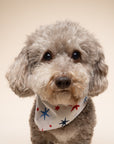 Liberty Dog Bandana