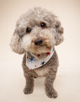 Liberty Dog Bandana