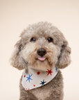 Liberty Dog Bandana