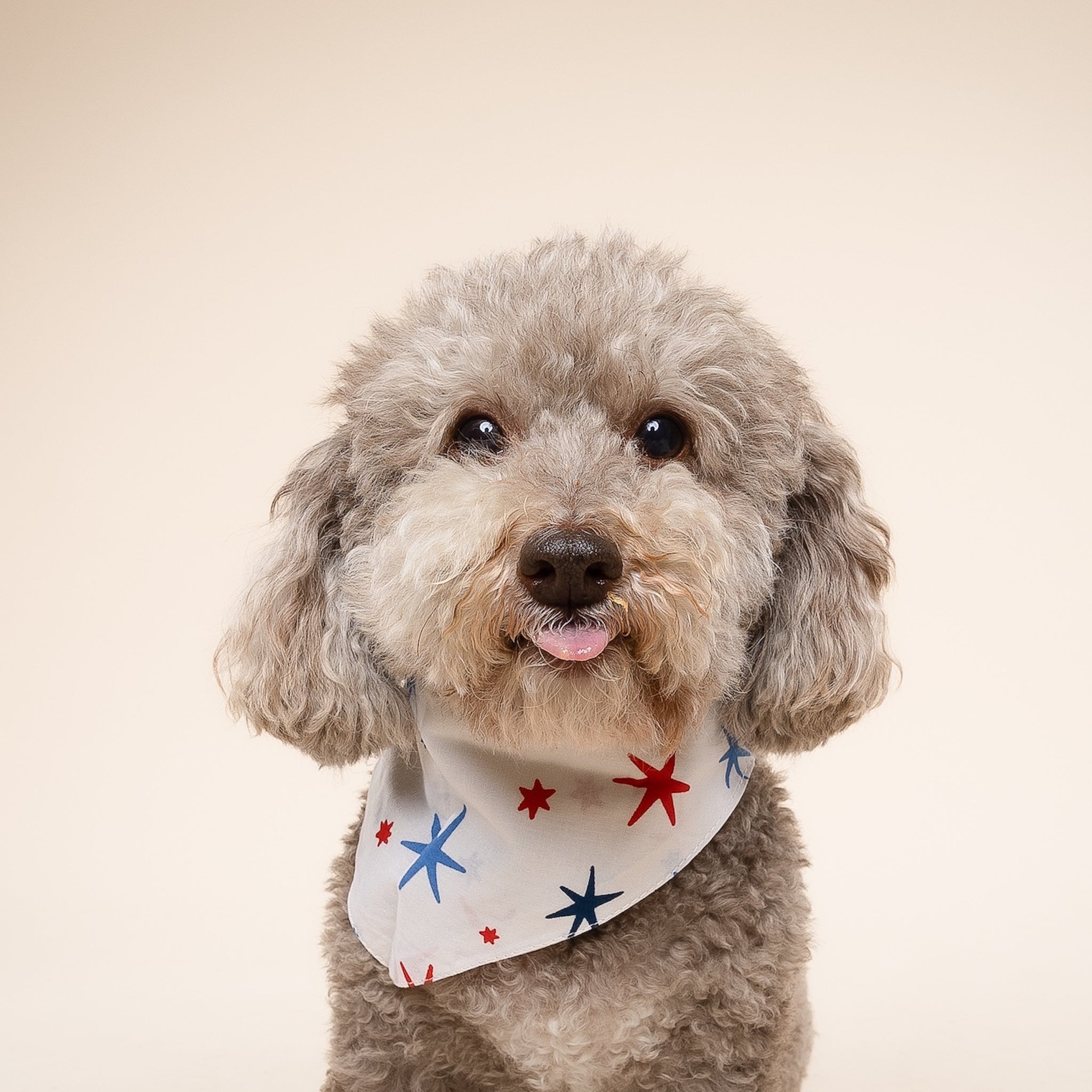 Liberty Dog Bandana