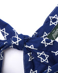 Lights Dog Bandana