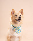 Limeade Cooling Bandana