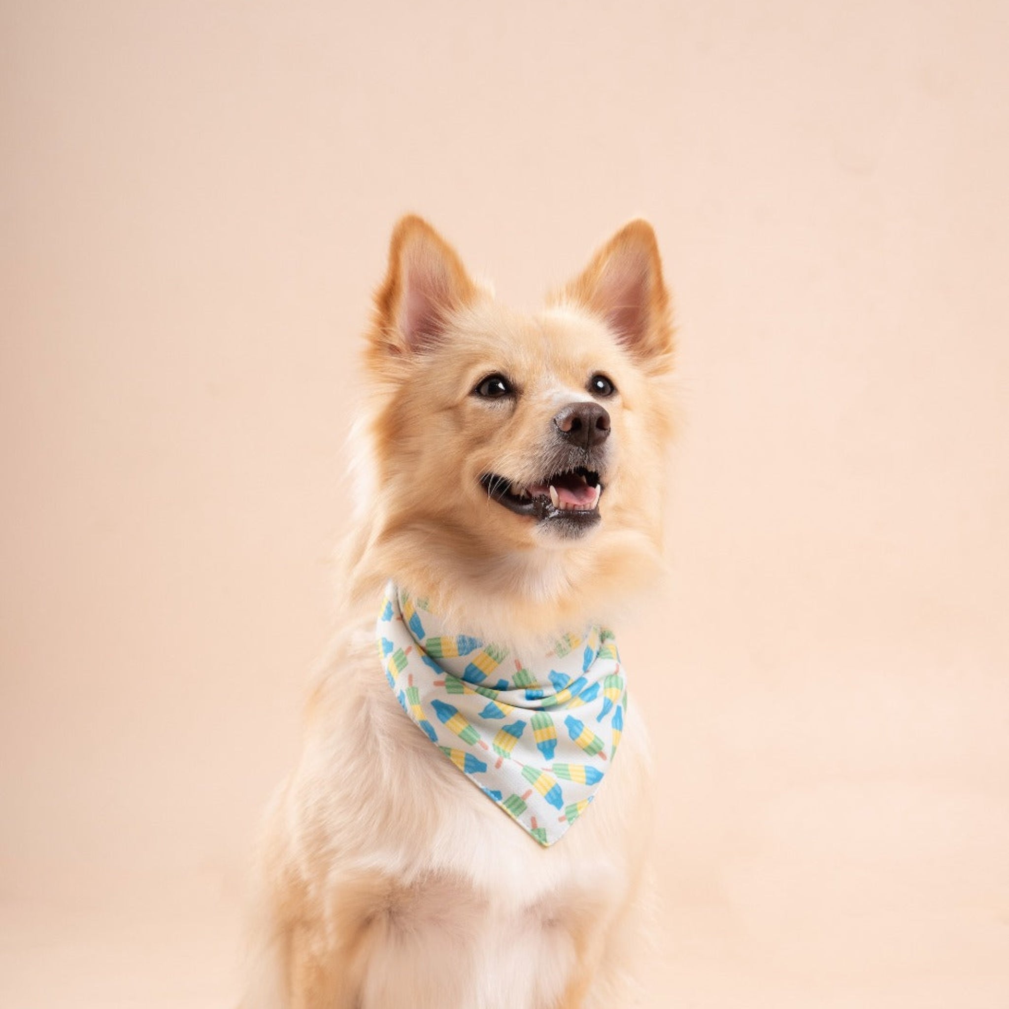 Limeade Cooling Bandana