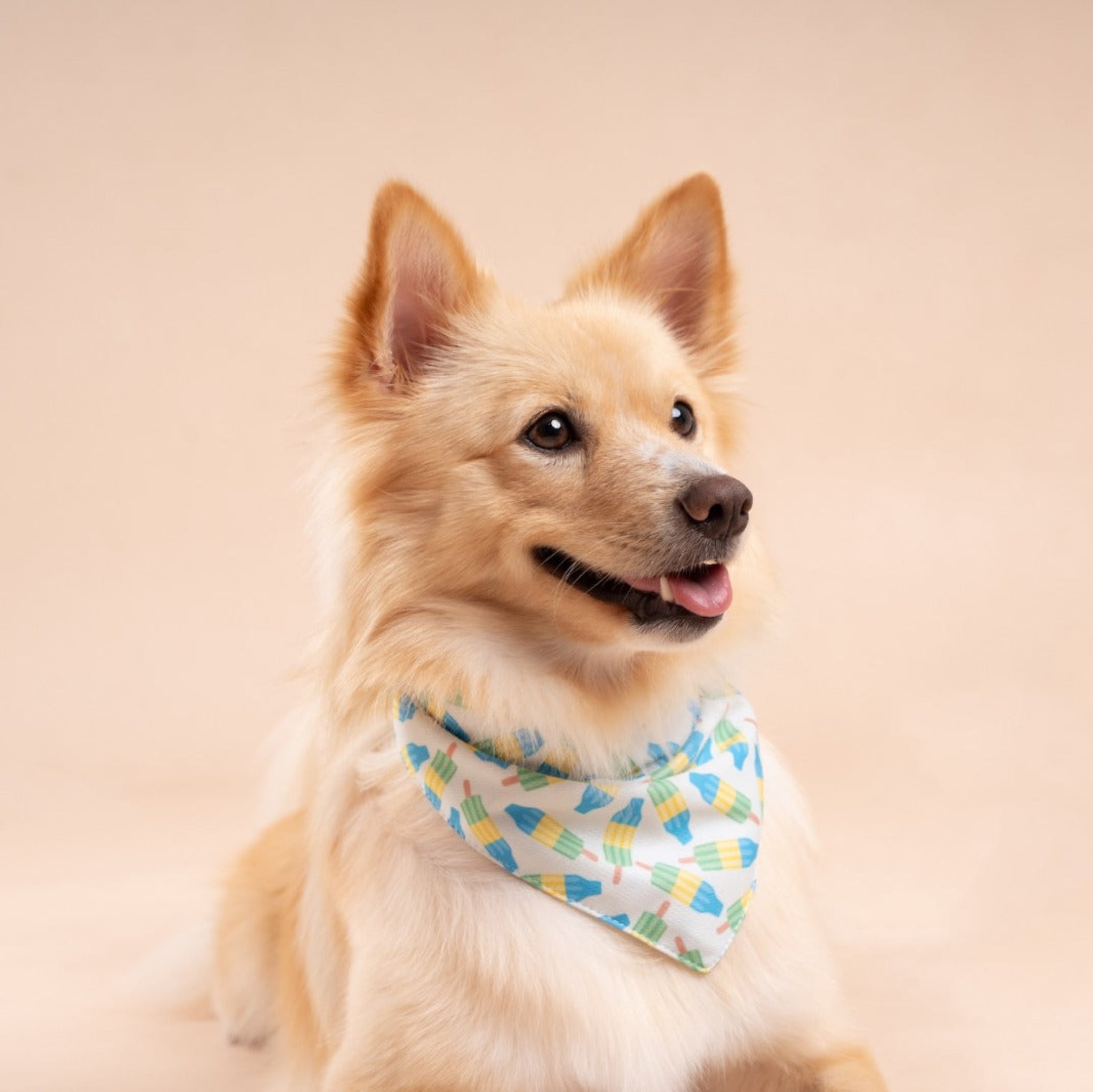 Limeade Cooling Bandana