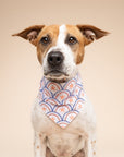 Lincoln Dog Bandana