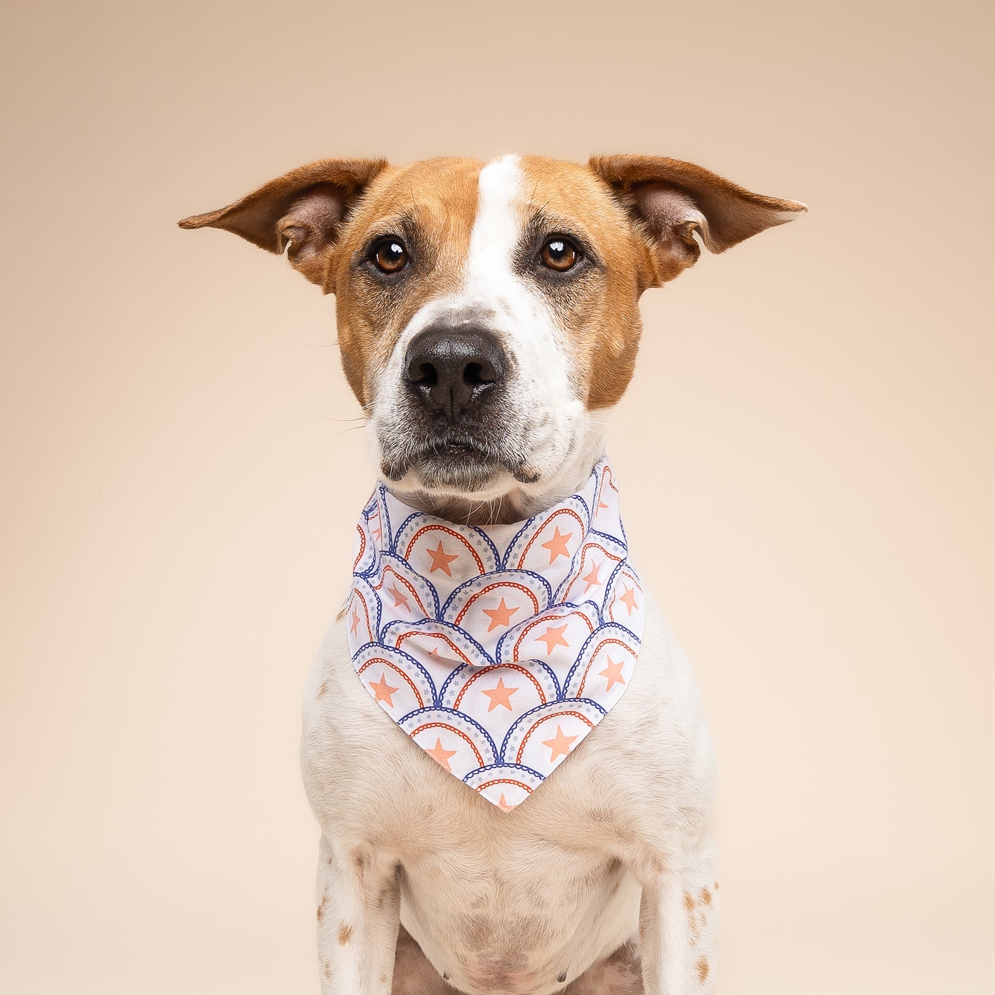 Lincoln Dog Bandana