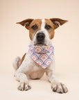 Lincoln Dog Bandana