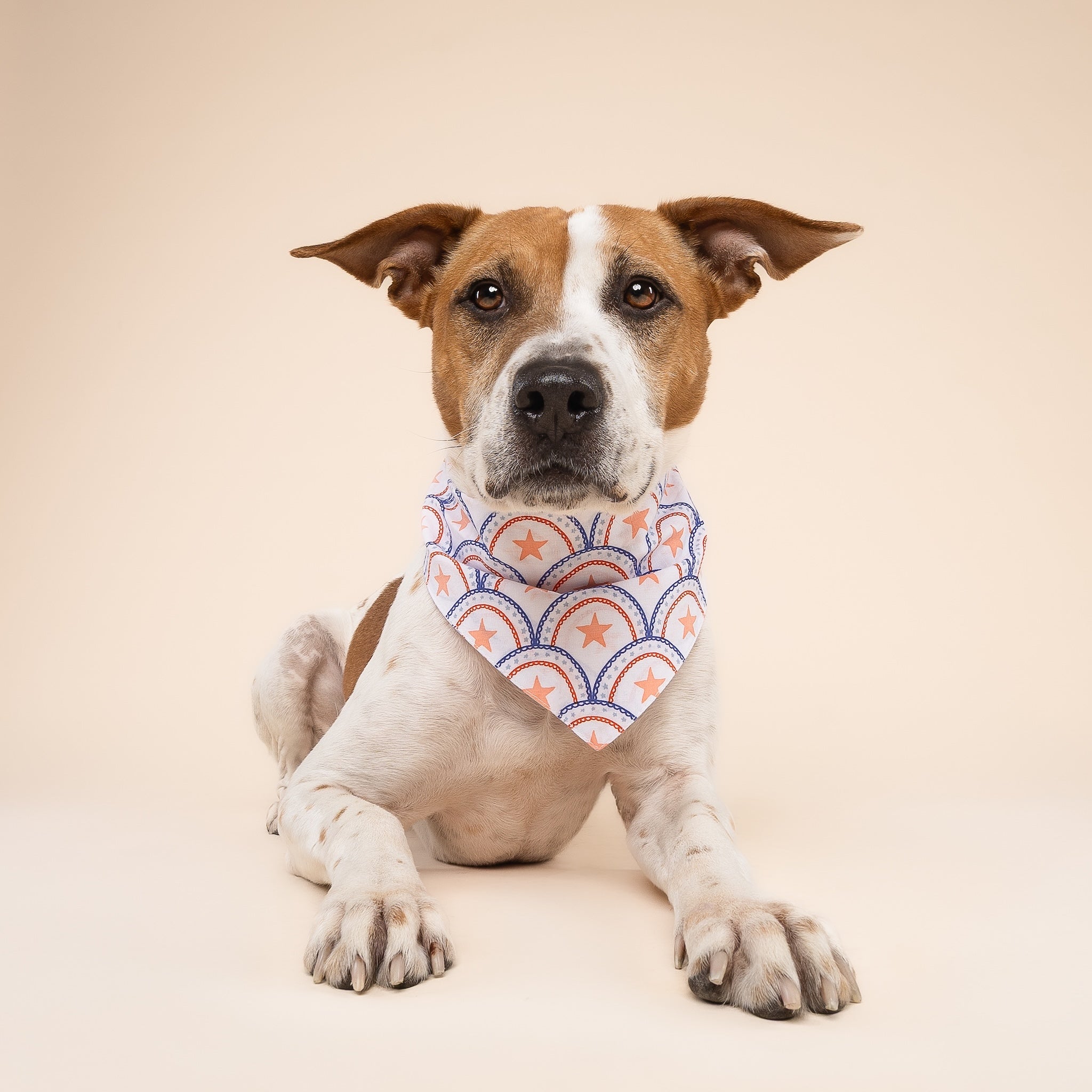 Lincoln Dog Bandana
