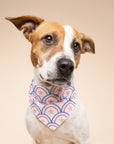 3 Pack of 4th of July Dog Bandanas
